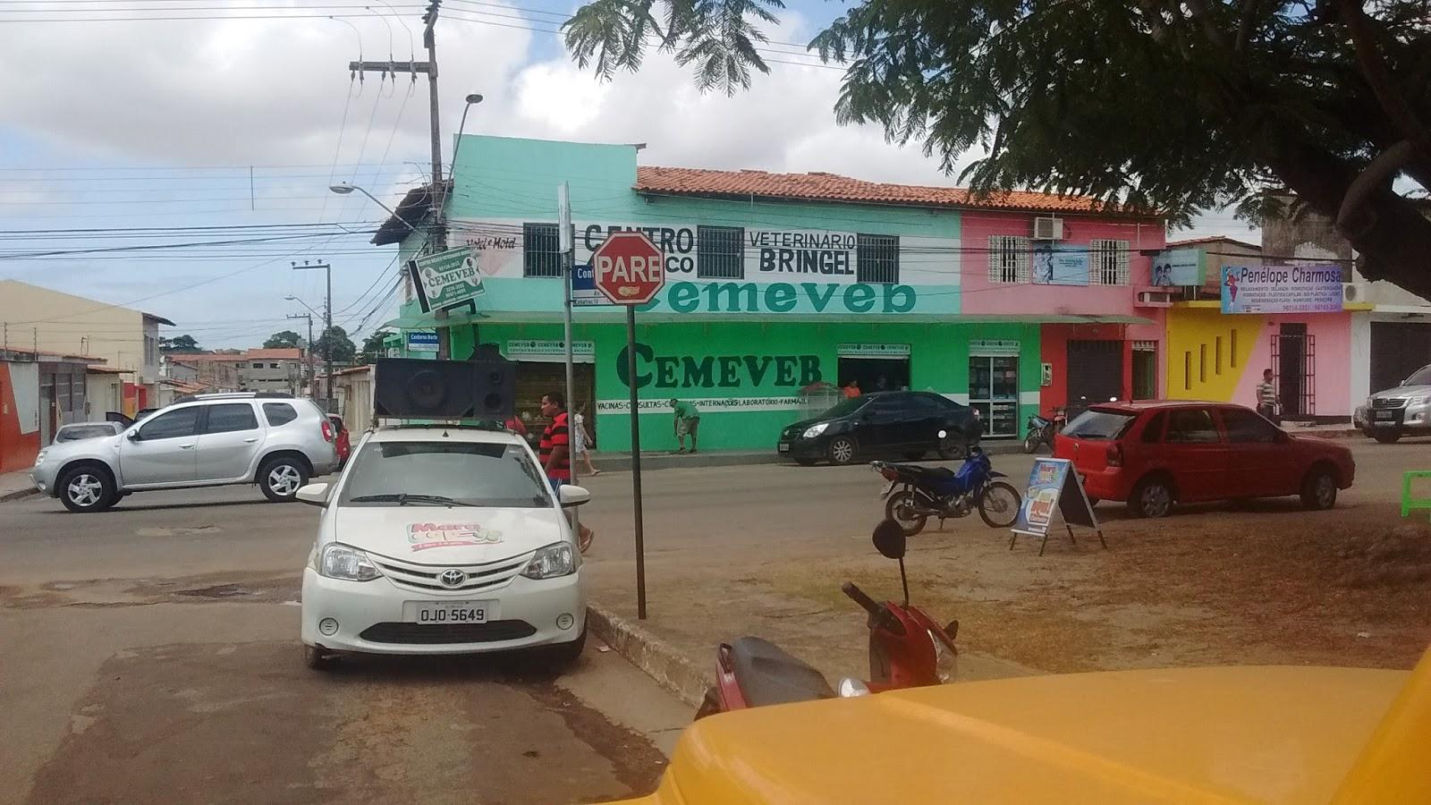 CEMEVEB - Centro Médico Veterinário Bringel