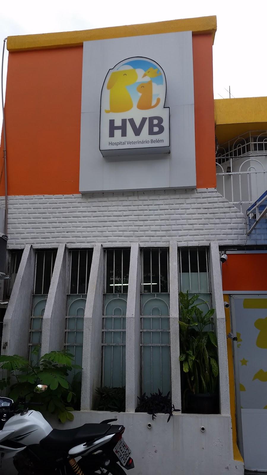 HVB - Veterinary Hospital Belém - Foto 2