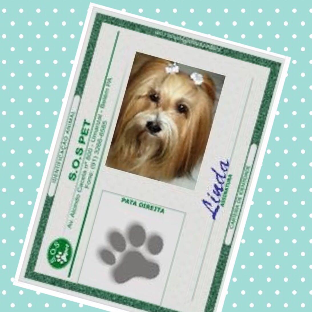 SOS PET SHOP - Foto 4