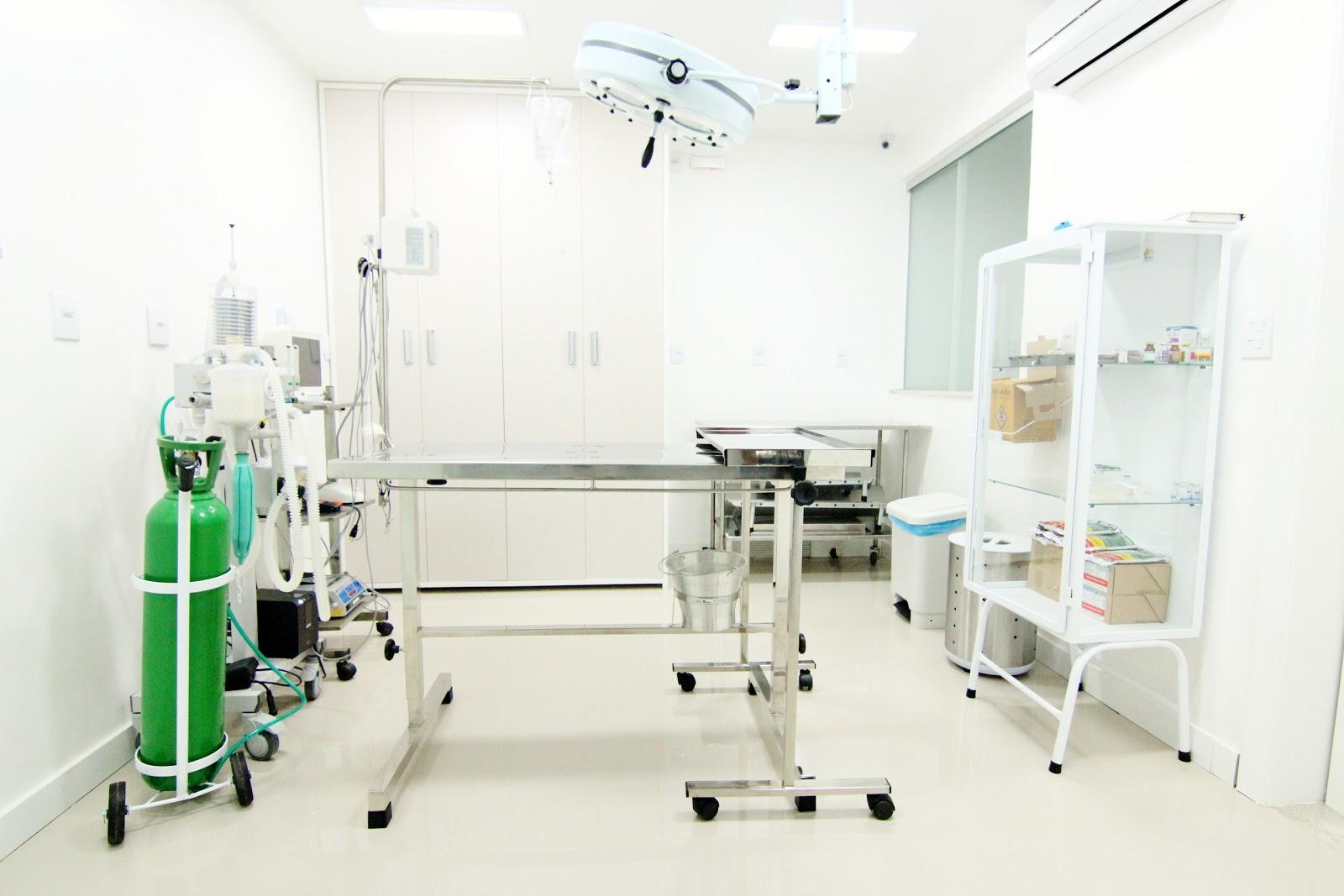 CORA - Centro de Obstetrícia e Reprodução Animal - Belém