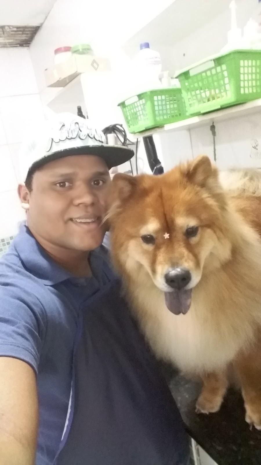 Chic Dog - Foto 4