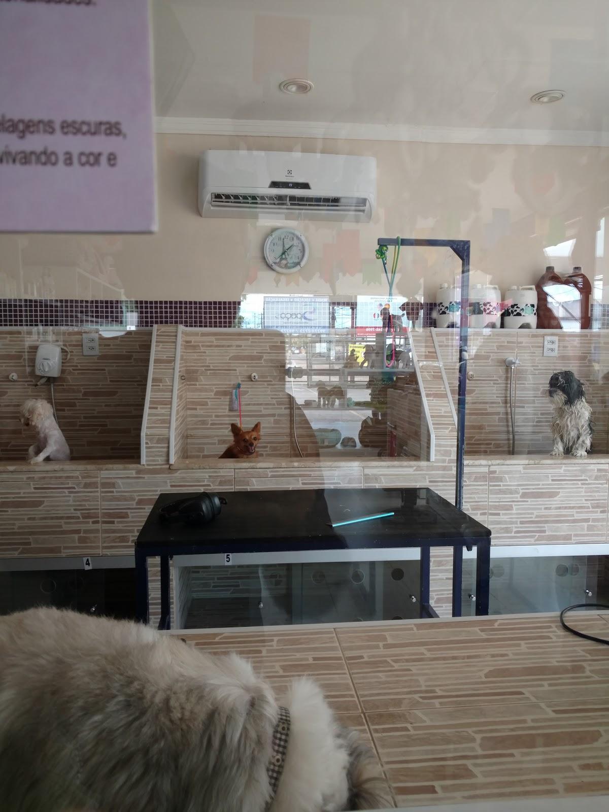 Pet Free Parque Verde - Belém