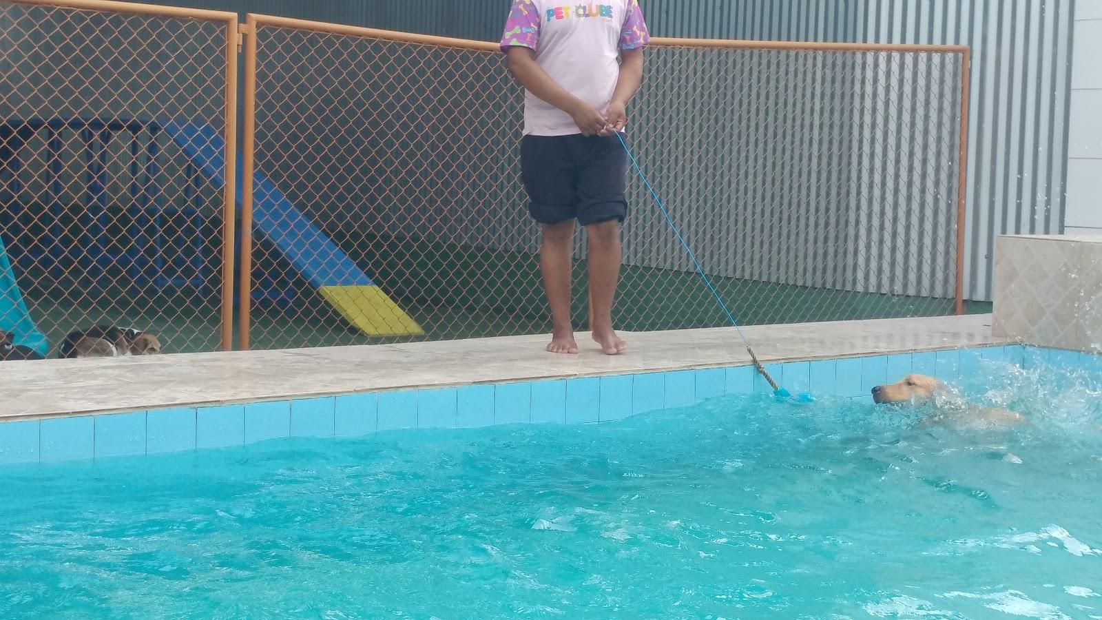 Pet Clube Prime - Belém