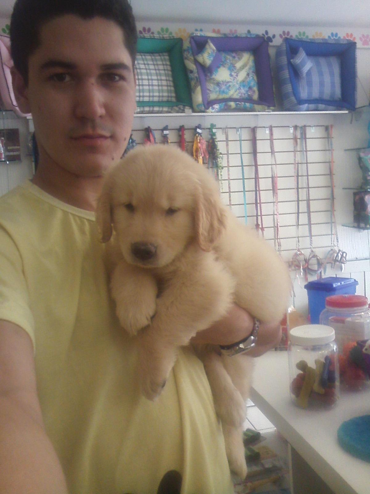 Pet Point - Foto 2