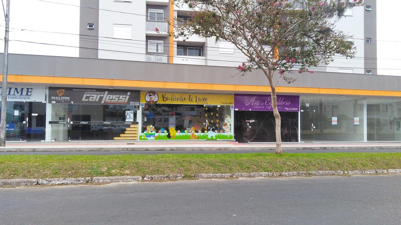 Bichinho de Luxo - Foto 2