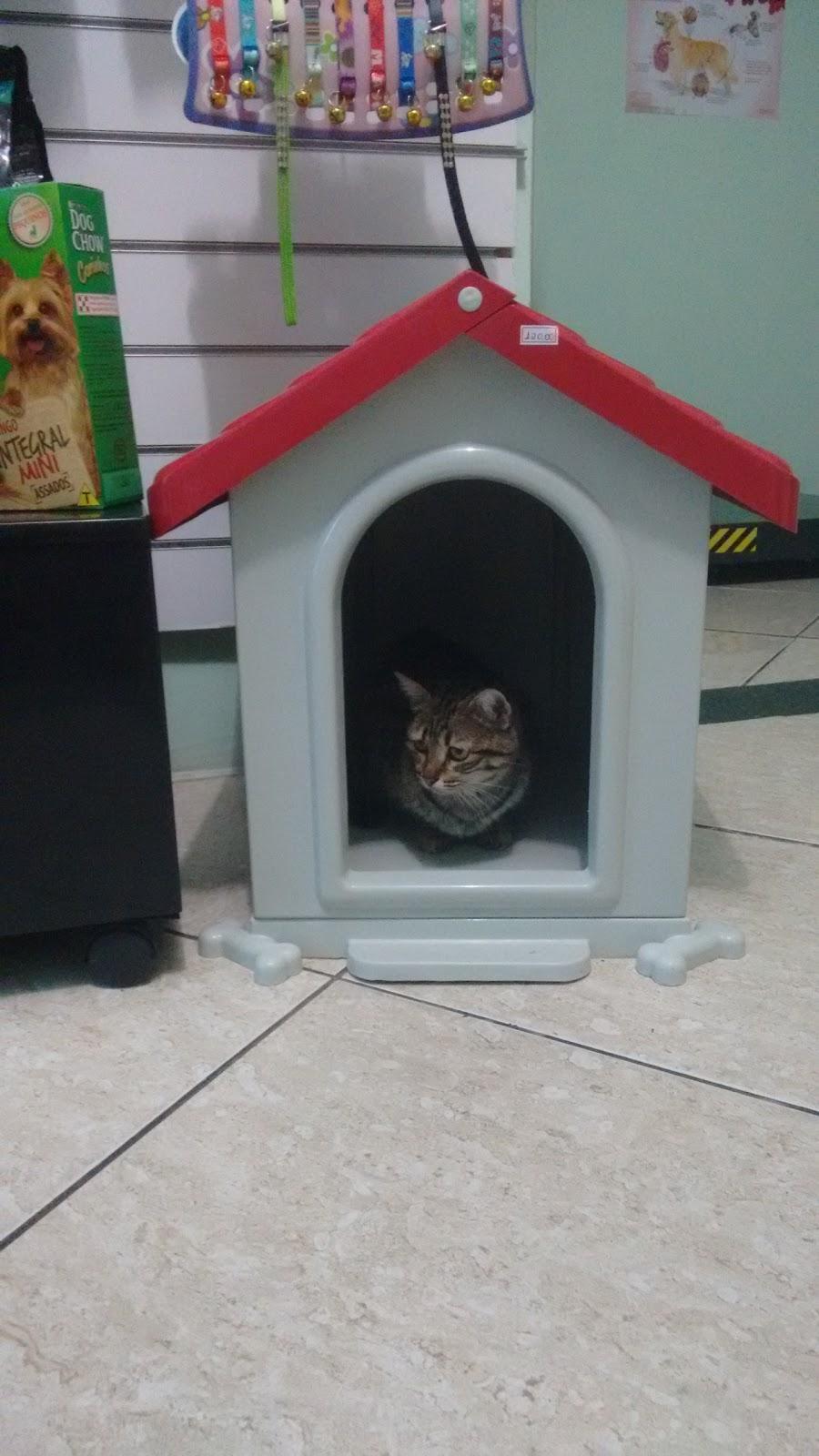 Pet Mania - Foto 3