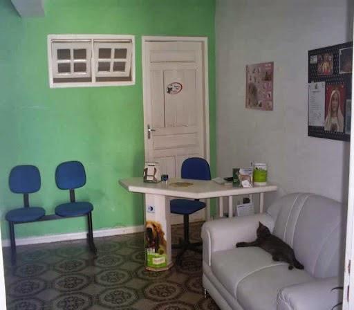 Amvet Jardins Clínica Veterinária