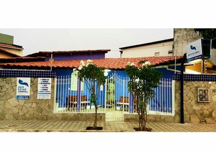 Clínica Veterinária Bem Estar Animal