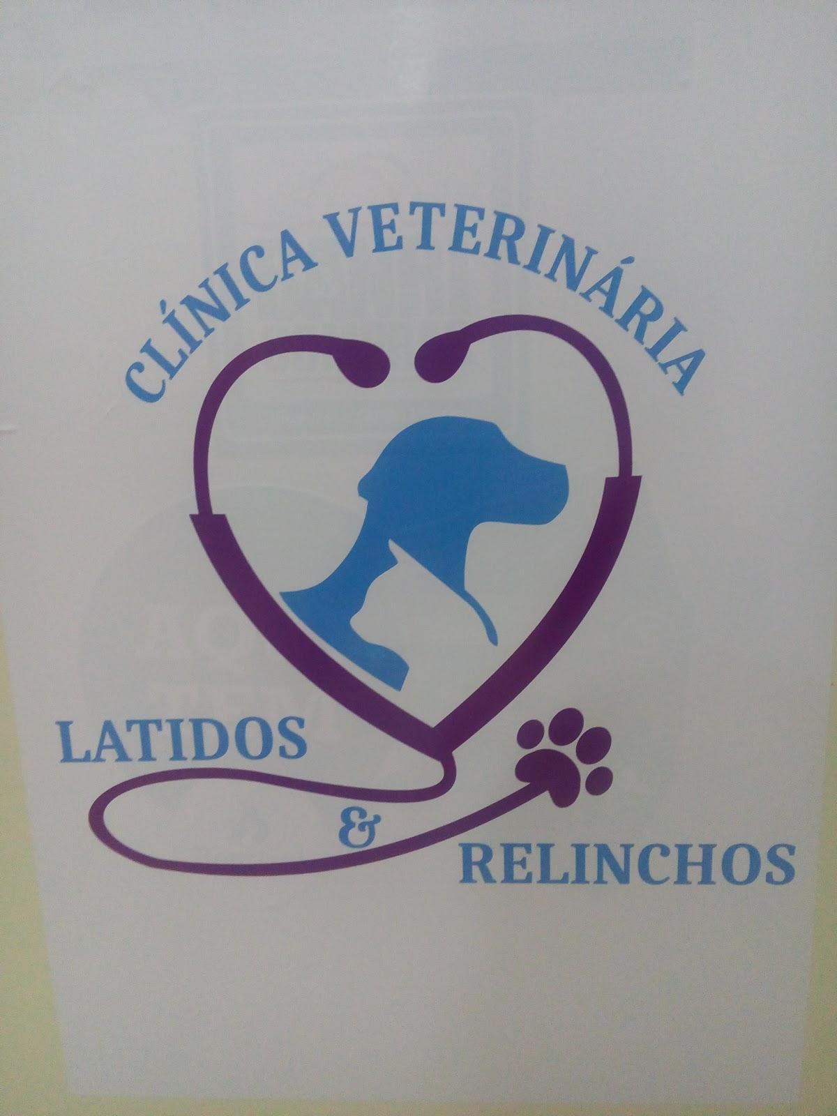 Veterinária Latidos e Relinchos - Foto 3