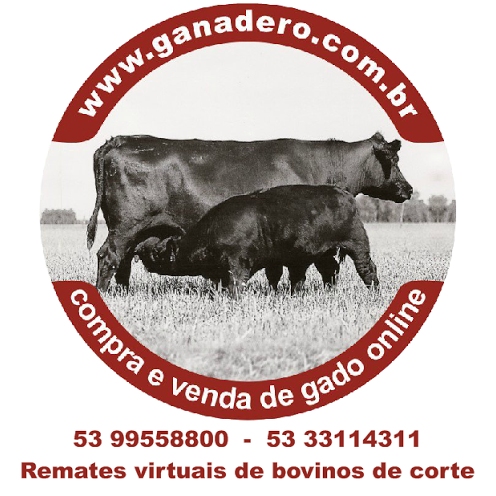 Corretora Ganadero - Foto 3