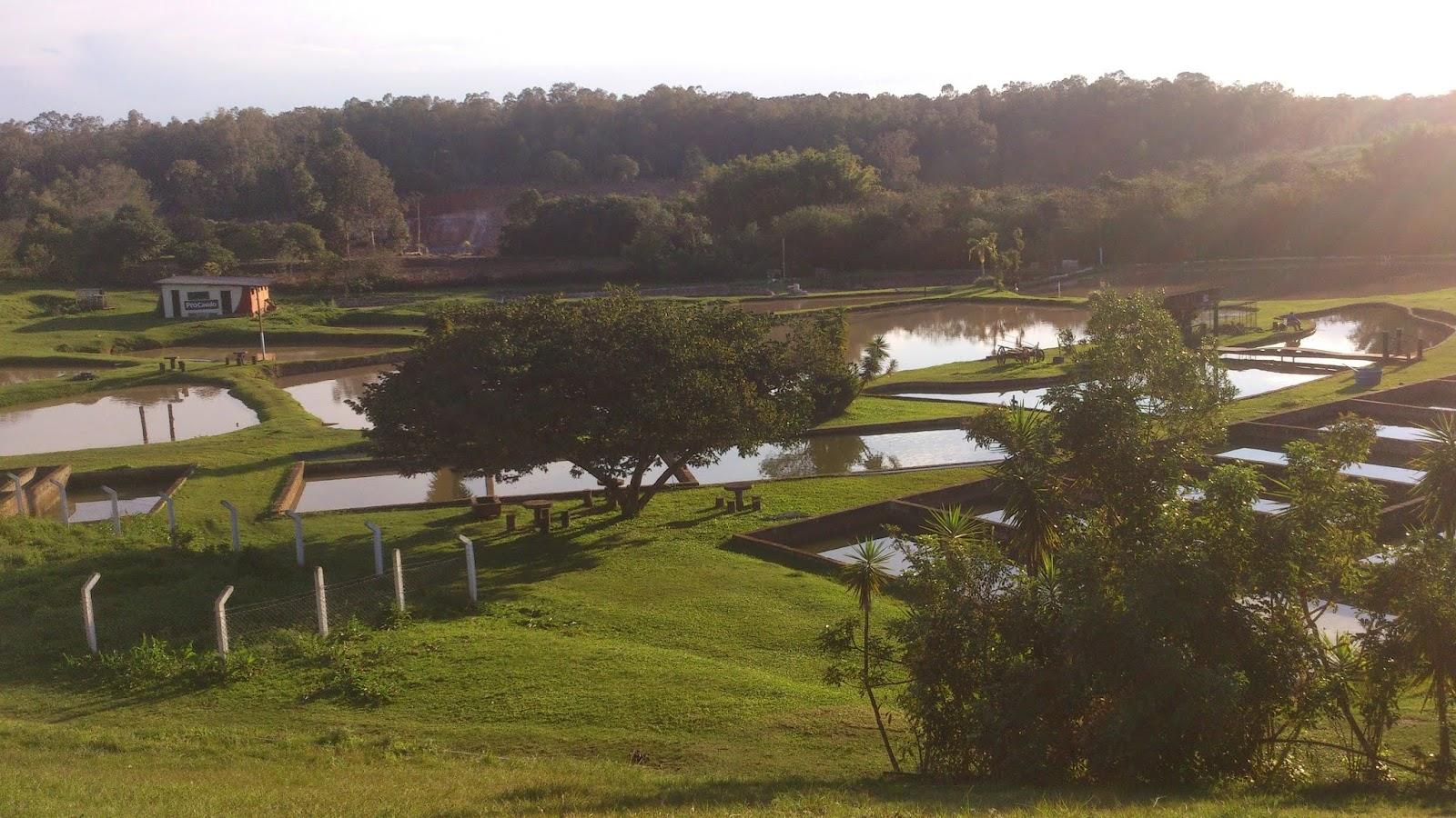 Piscicultura Projeto Restaurar
