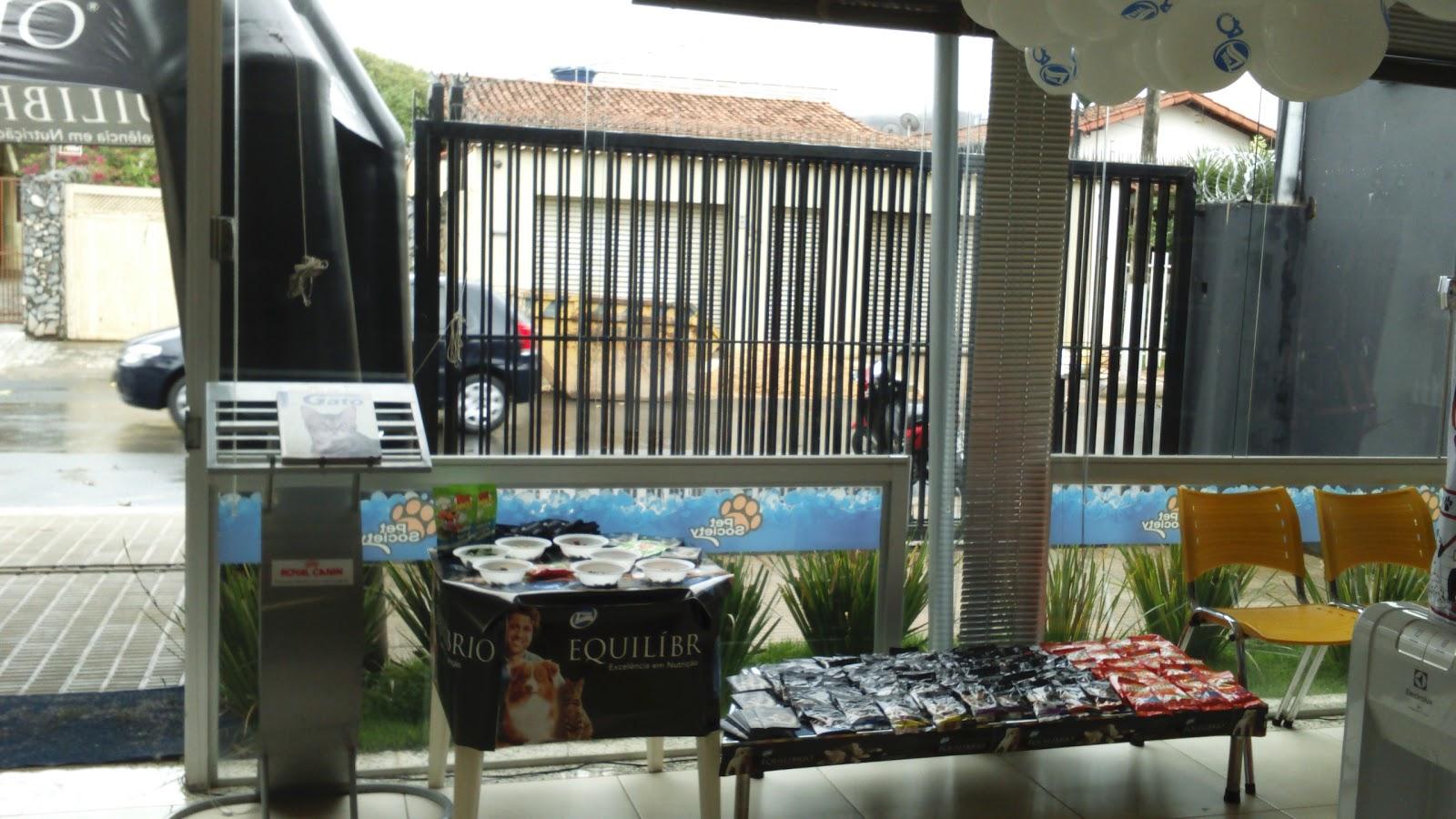 Dog Show Veterinary Clinic