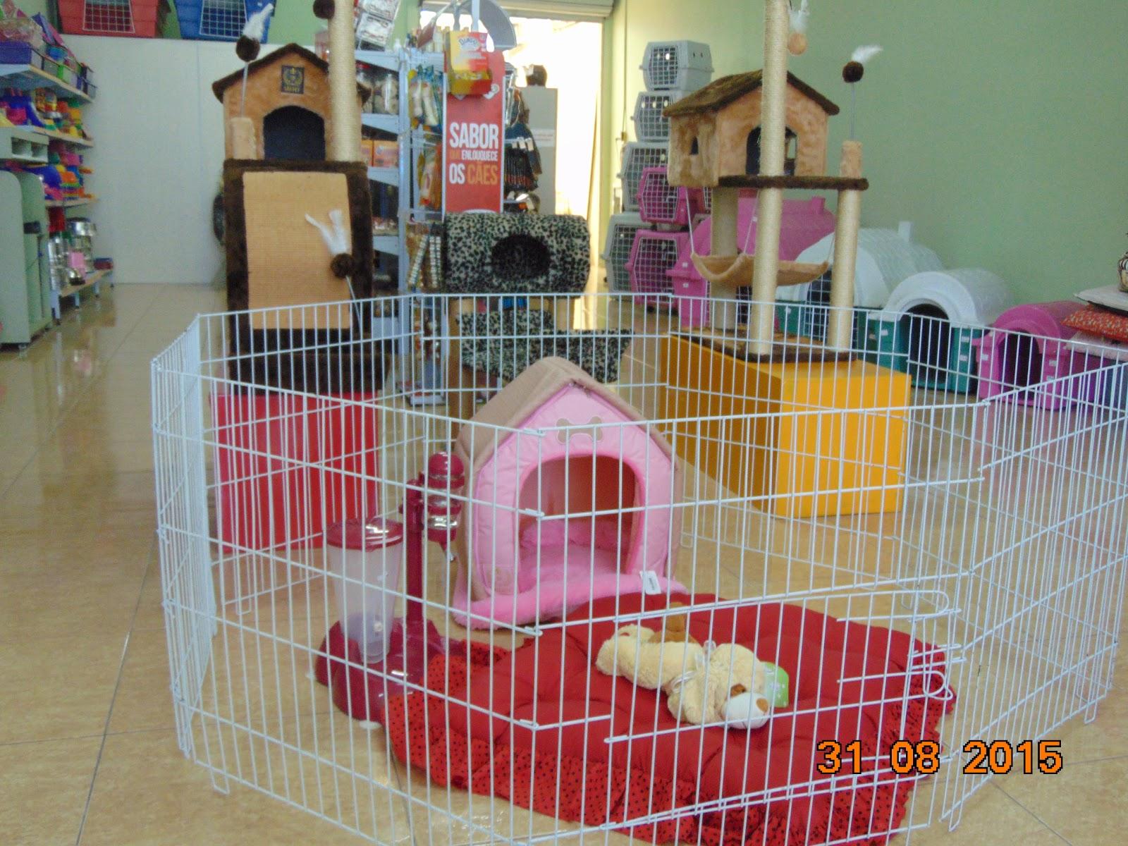 Pet Saúde - Foto 5