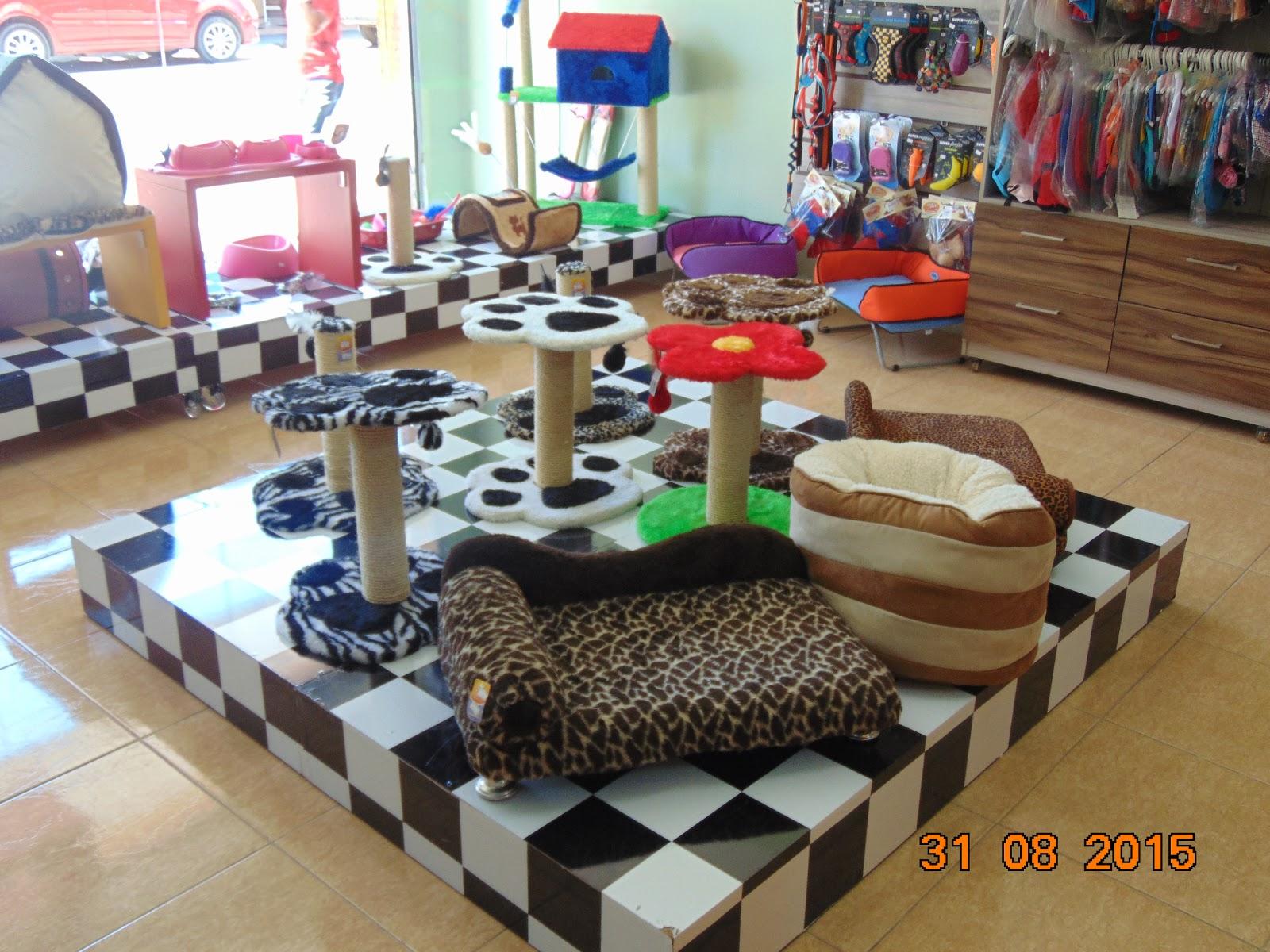 Pet Saúde - Foto 4