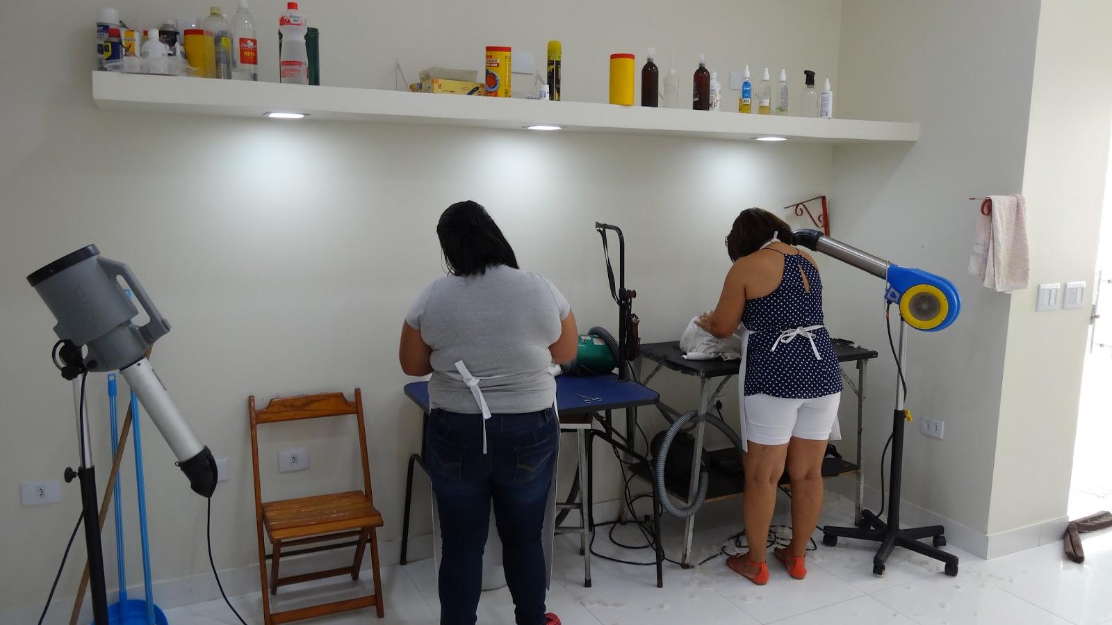 Clínica Veterinária SAKUMA VET - Pet Shop em Presidente Prudente