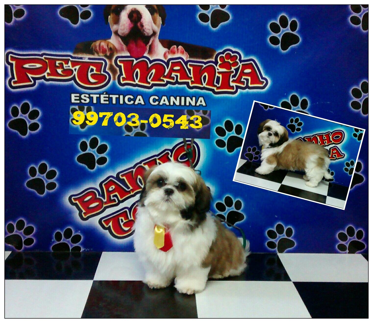 Pet Mania Pet Shop - Foto 2