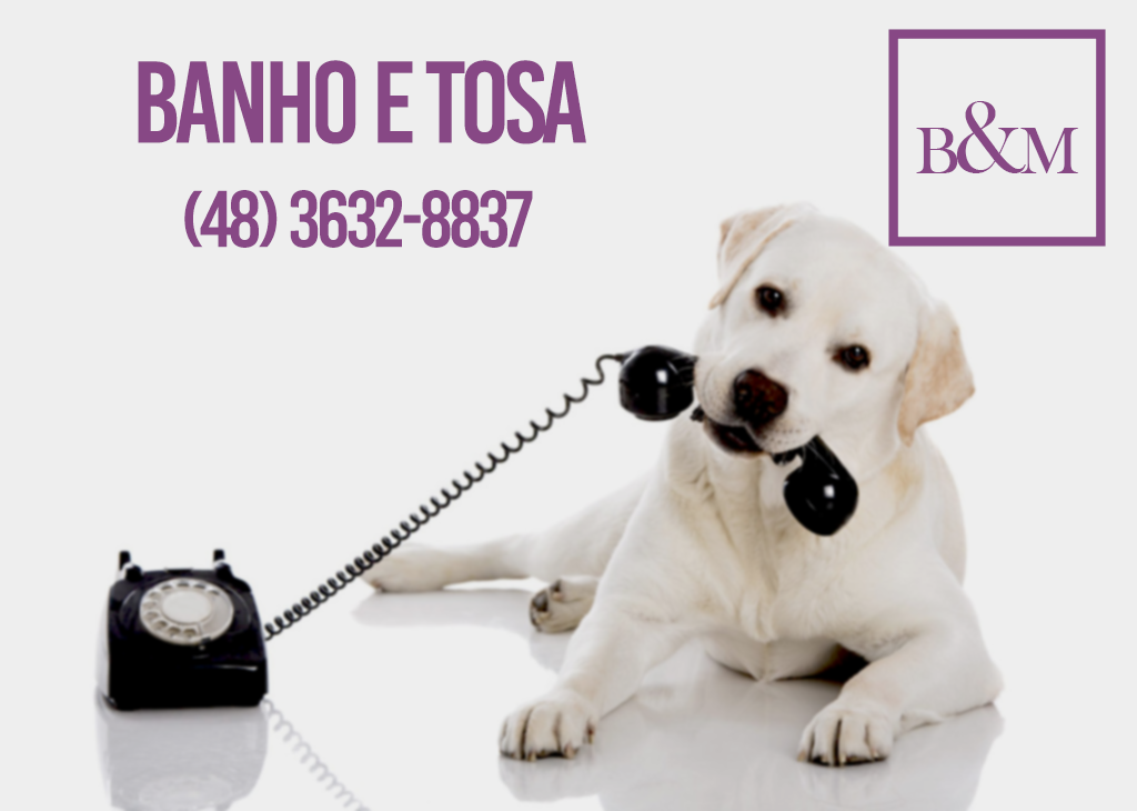 Pet Shop Bichos e Mania - Pet Shop em Tubarão