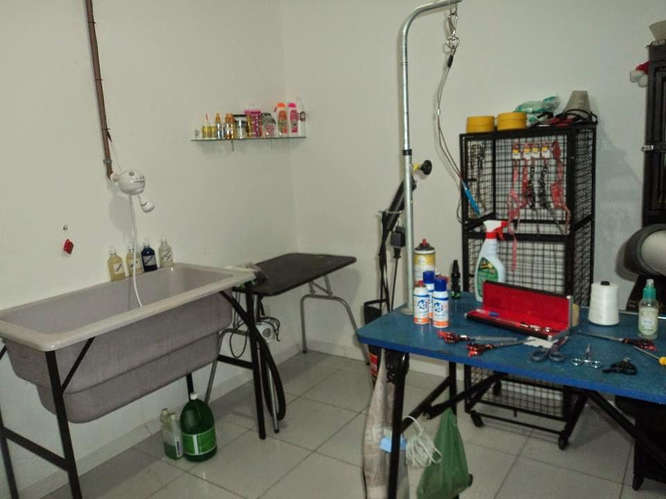 Dog Sitter Hotel para Cães - Pet Shop