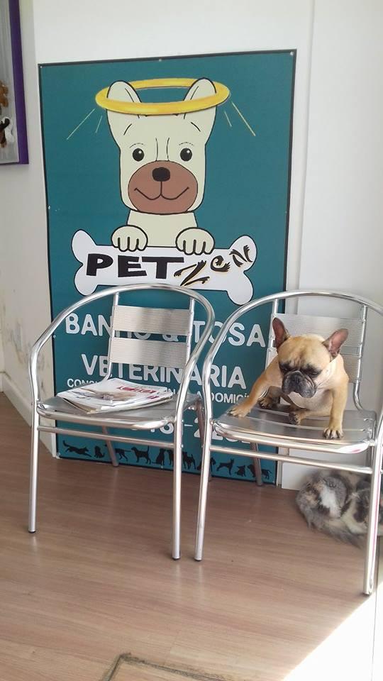 Pet Zen Pet Shop - Foto 4