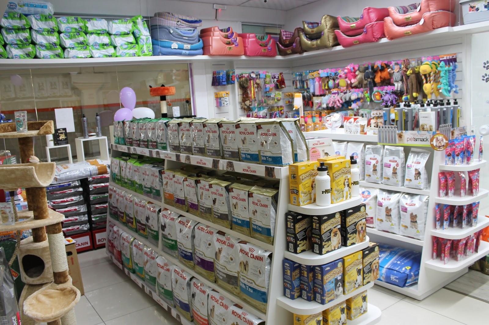 iPet Store Pet Shop Loja 03 Itajai