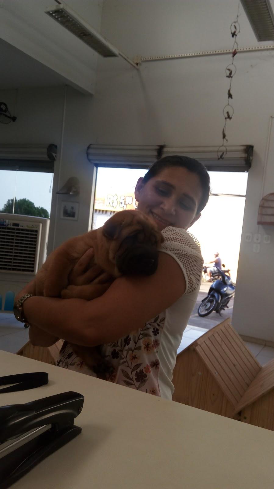 Center Vet - Centro Veterinário de Bacabal