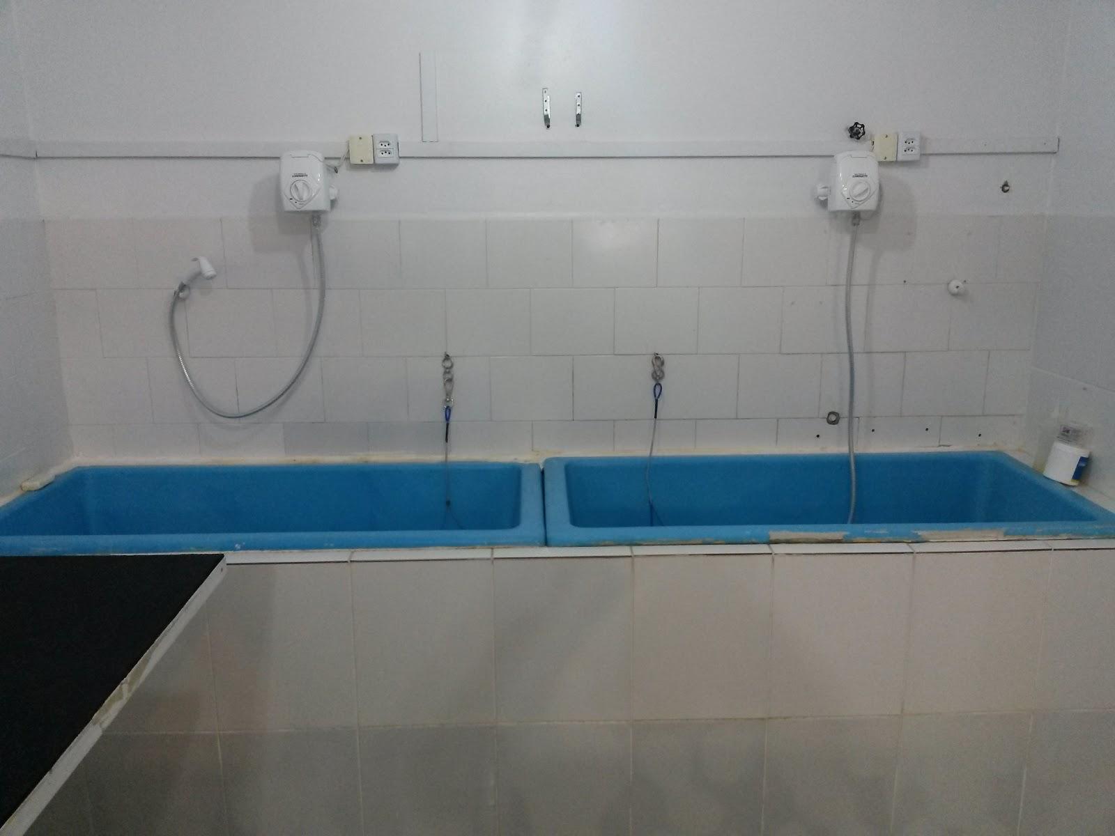 Pet Vet & Pet Groomer