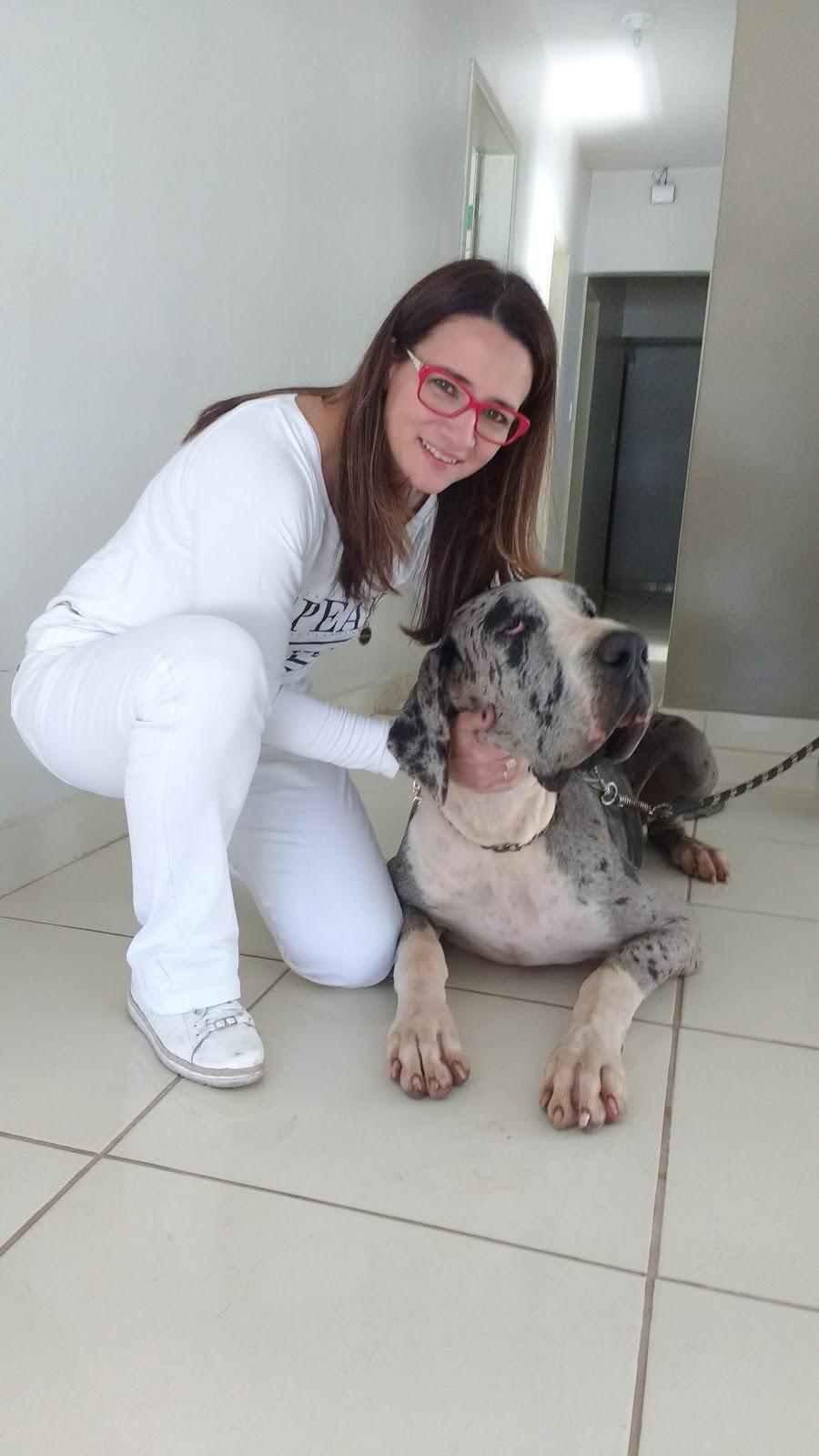 Master Vet Avaré Master Vet Avaré