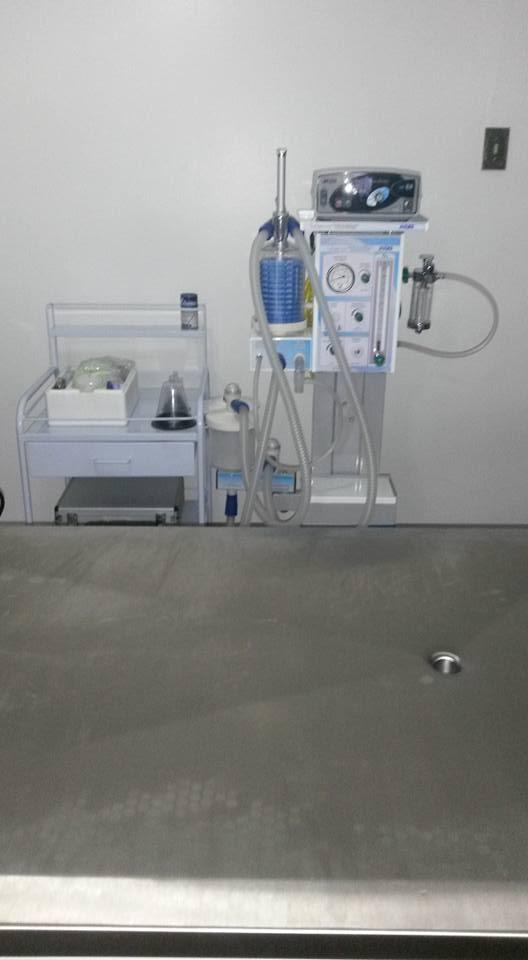 VetWilson Clínica Veterinária