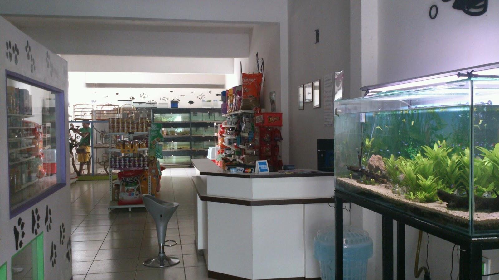 Pet Shop Cão Limpinho