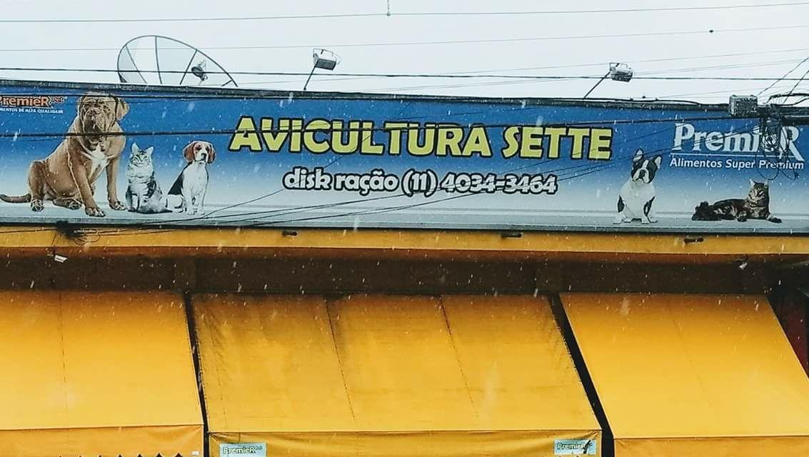 Avicultura Sette - Foto 2