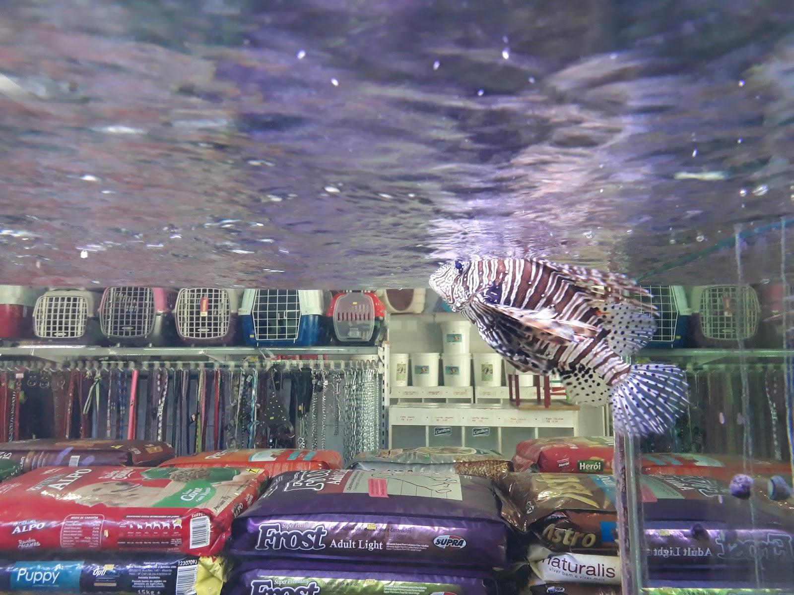 Agriculture & Pet Shop Strong Ox