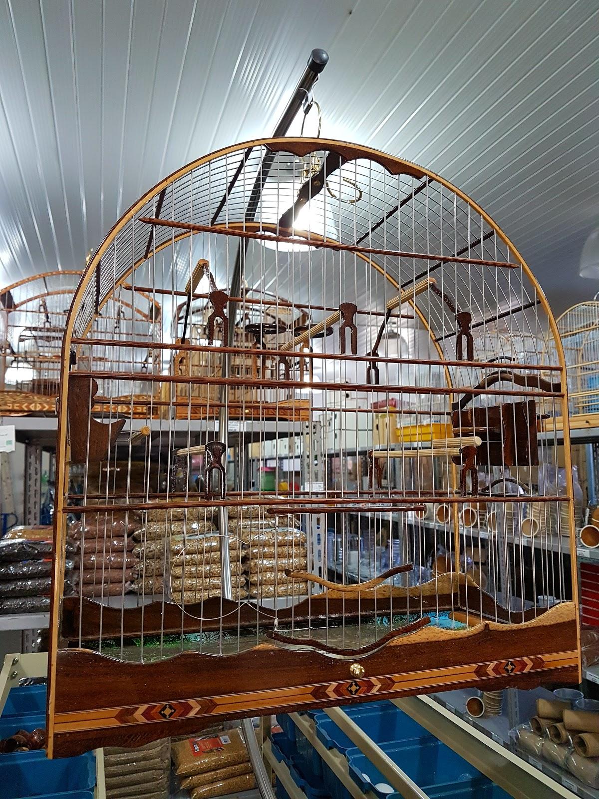 Horizonte Pet Store - Foto 5