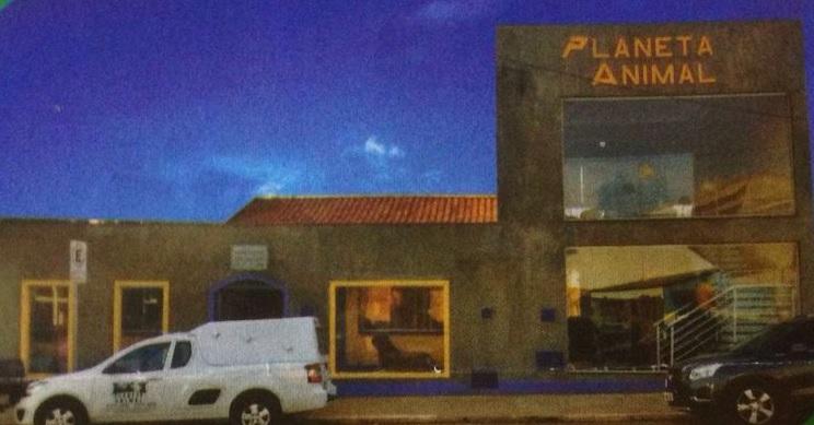 Planeta Animal - Foto 2
