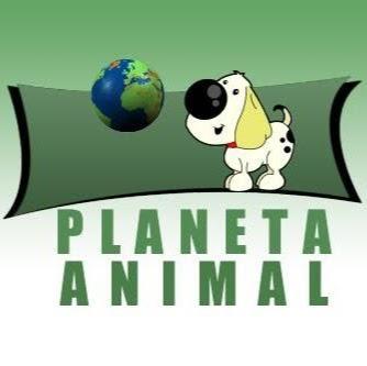 Planeta Animal - Foto 4