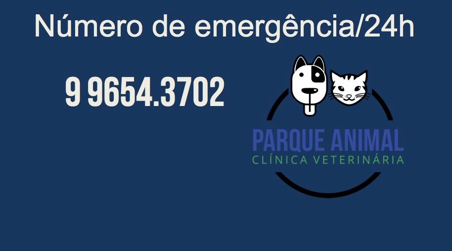 Parque Animal Clínica Veterinária - Foto 2