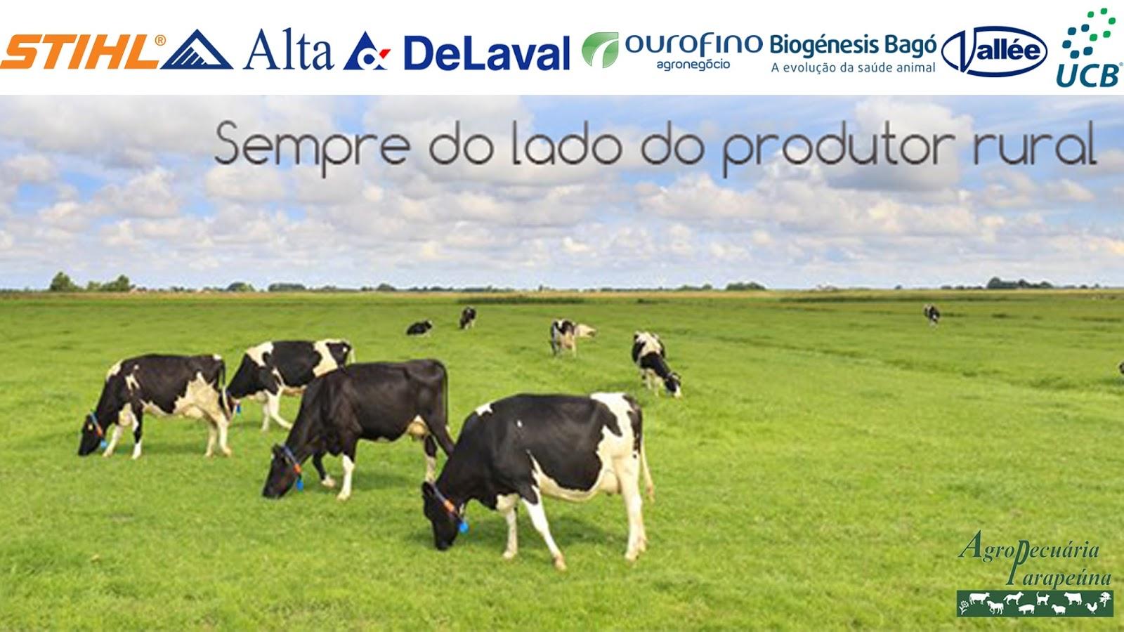 AgroParapeúna - Foto 2