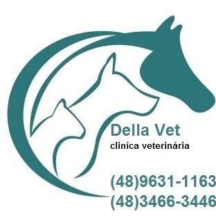 Della Vet Clinica Veterinária e Pet Shop - Foto 3