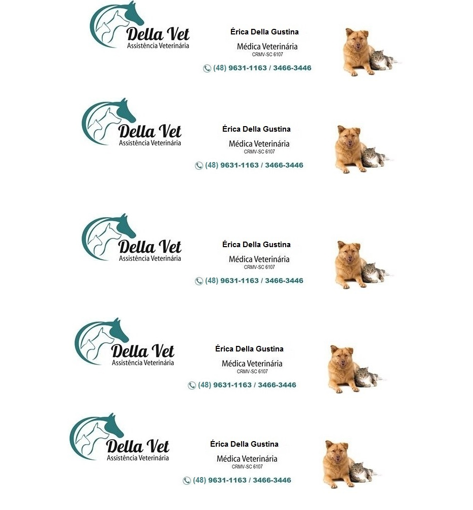 Della Vet Clinica Veterinária e Pet Shop - Foto 2