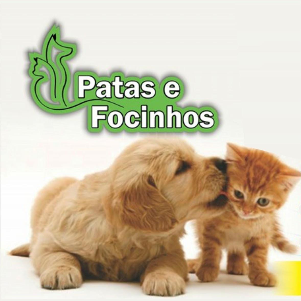 Patas e Focinhos Banho e Tosa