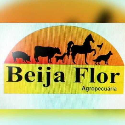 Agropecuária Beija-Flor