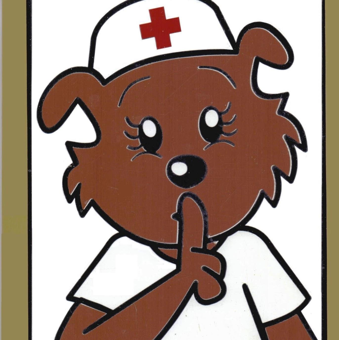 Dog Shop Consultório Veterinário