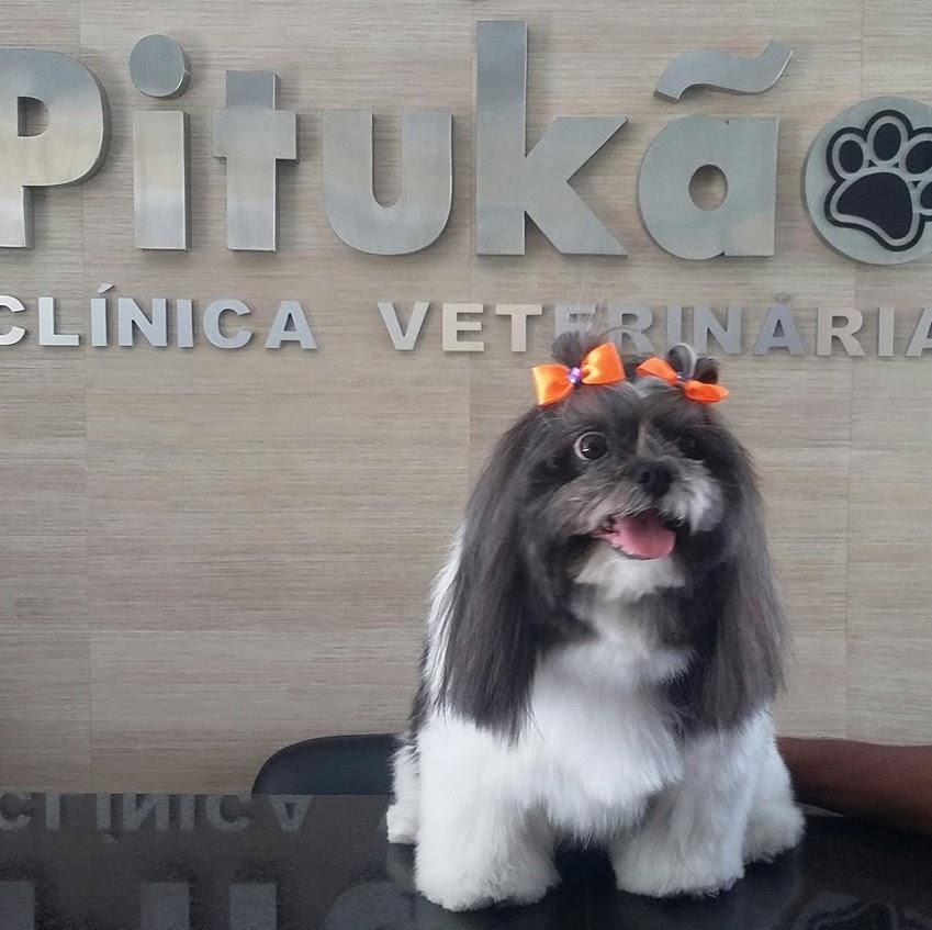Pitukão & Pitukinho - Foto 3