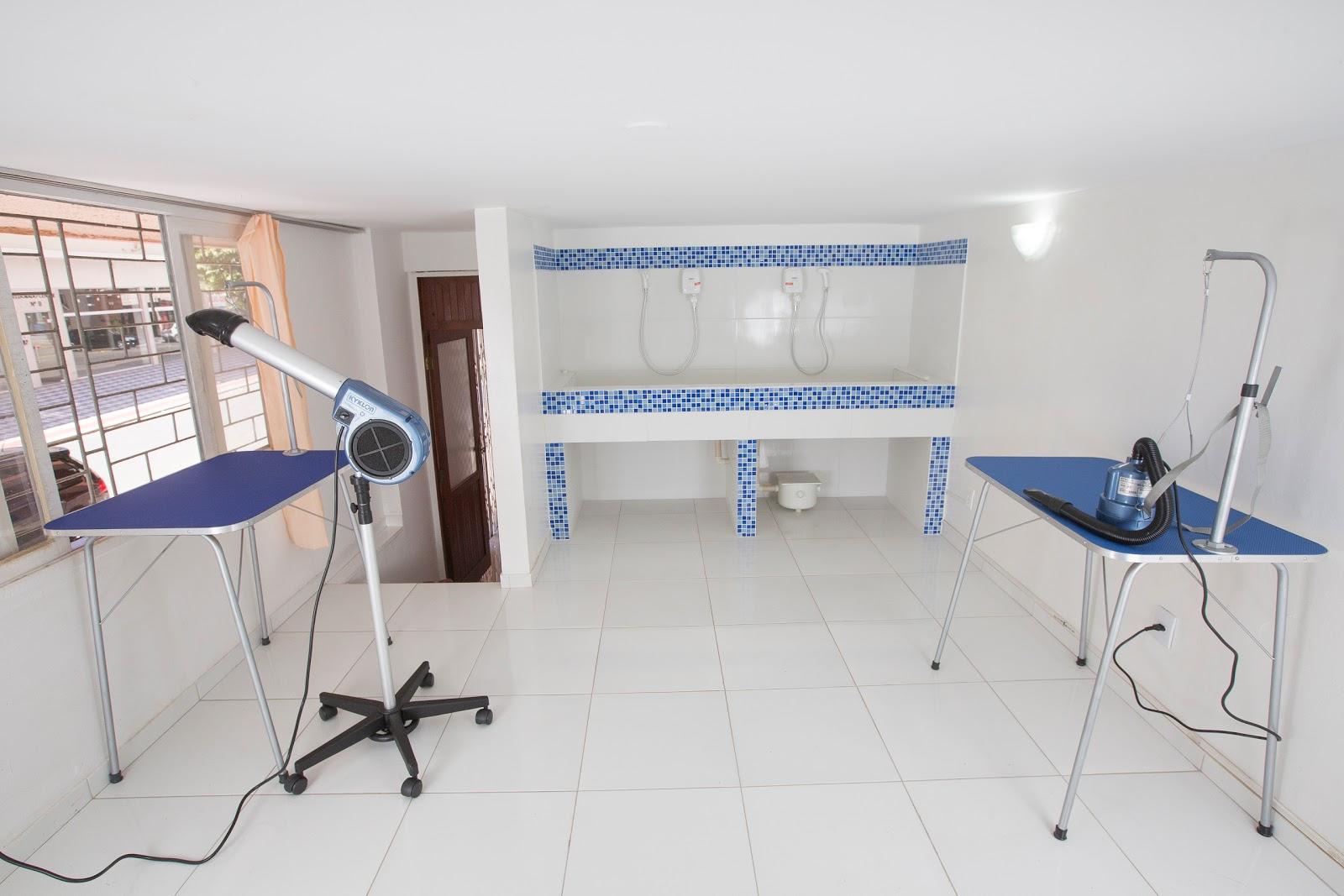 Bicho em Pessoa Pet Club