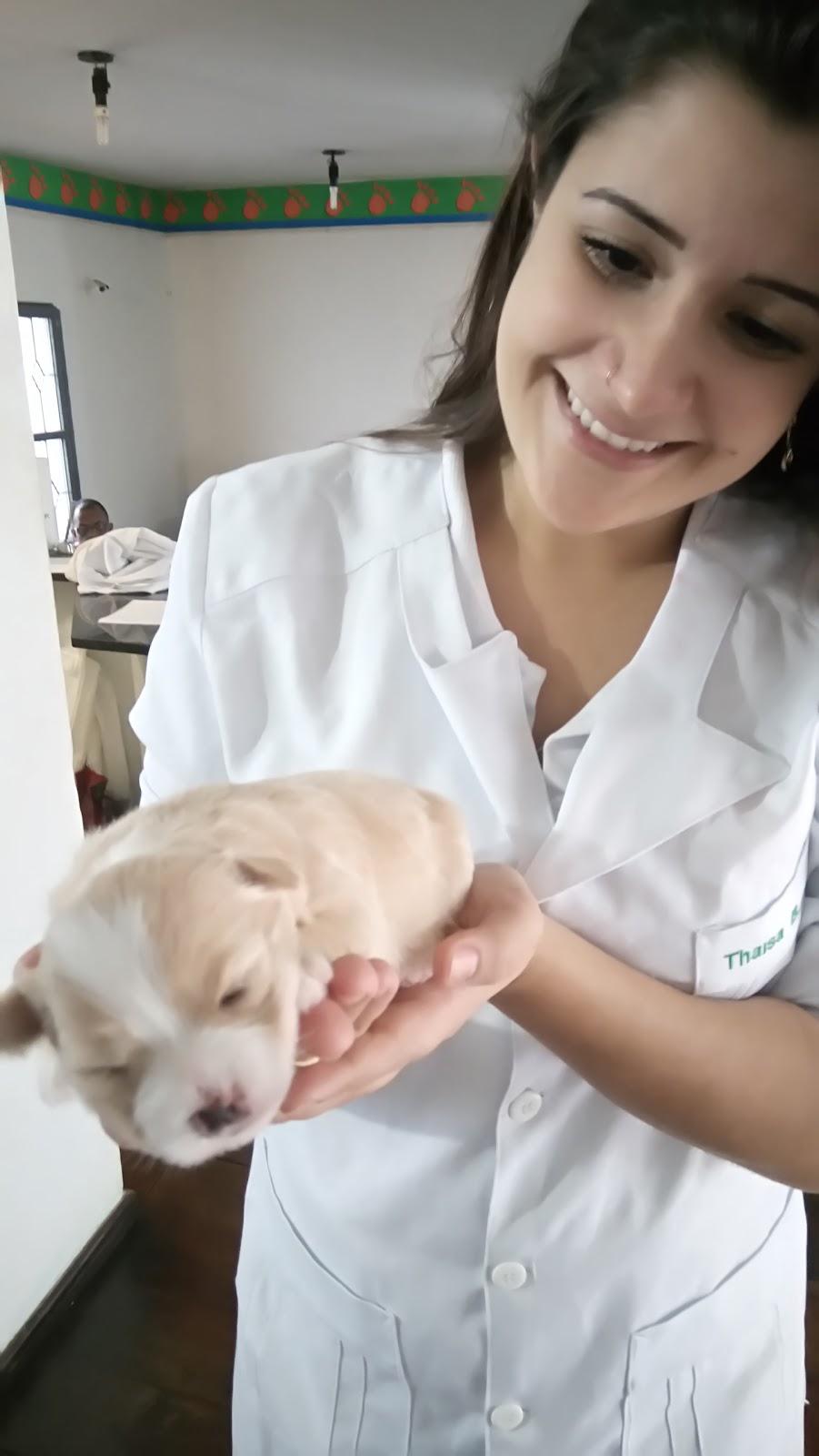 Centro Veterinário Araxá