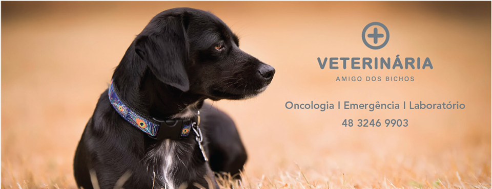 Veterinary Clinic Friendly Critters