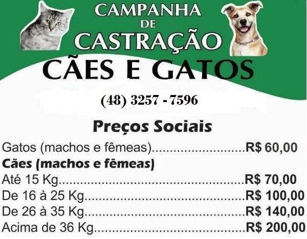 Clinica Veterinaria Jardim Cidade