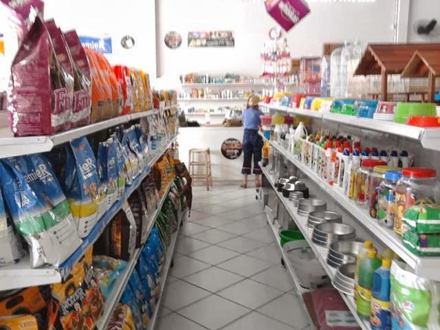 Pet Shop Caninos Brancos