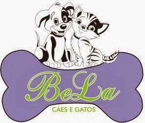 Bela Cães e Gatos