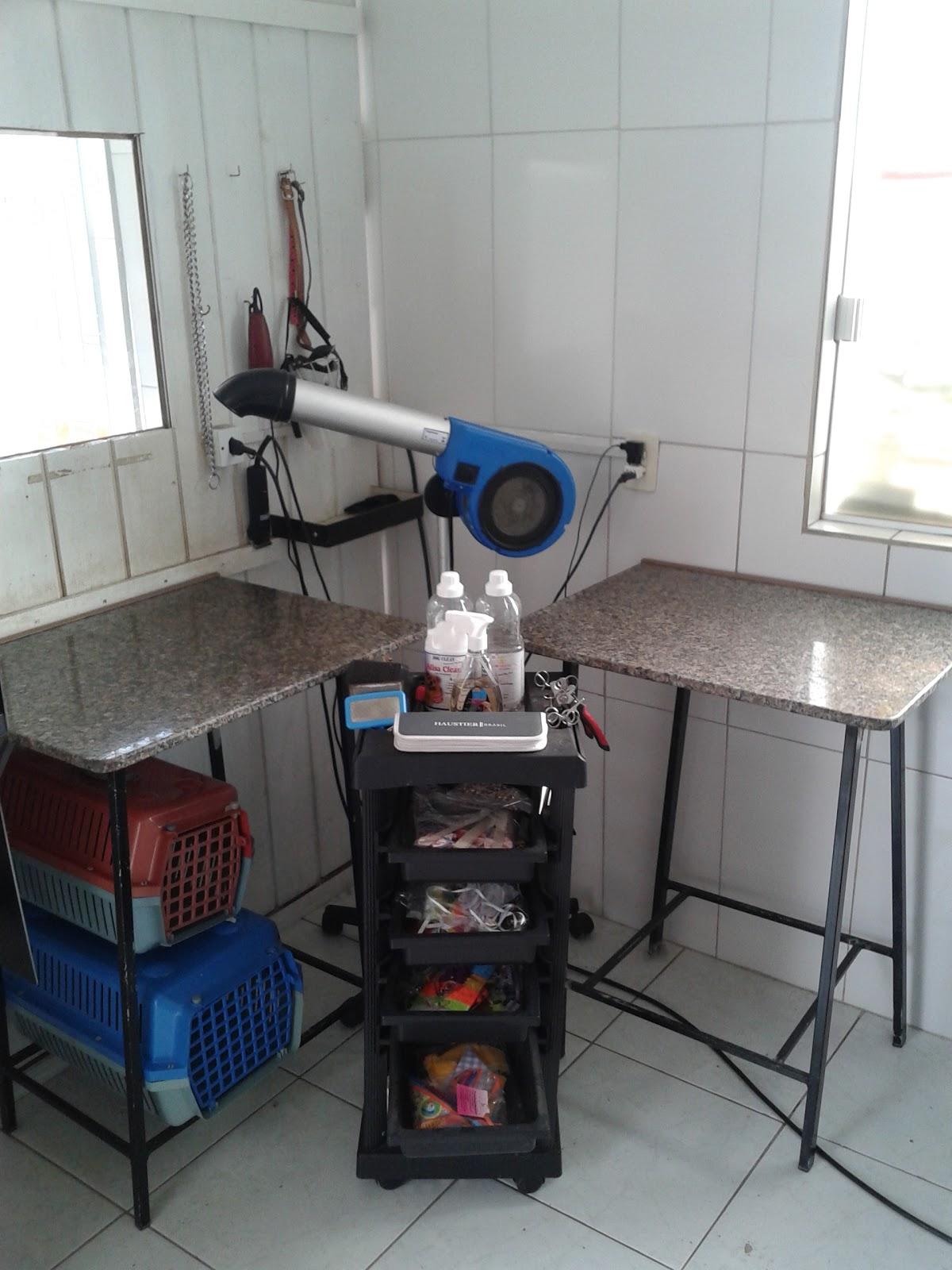 Esteticão Banho e Tosa