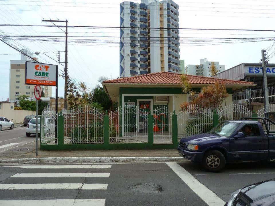 Cat Care - Clínica de Felinos